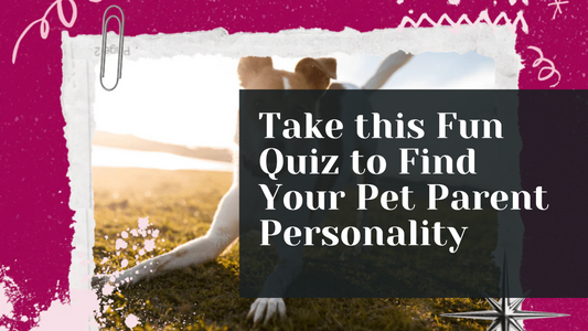 Take this Fun Quiz to Find Your Pet Parent Personality