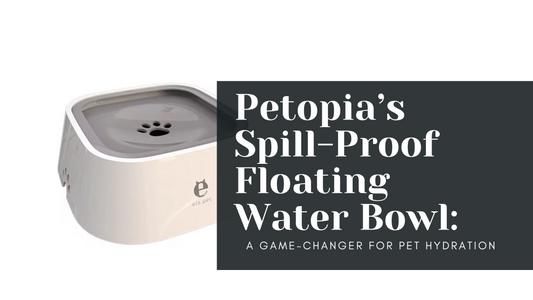 Petopia’s Spill-Proof Floating Water Bowl: A Game-Changer for Pet Hydration