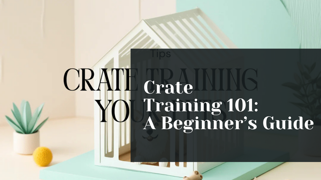 Crate Training 101: A Beginner’s Guide
