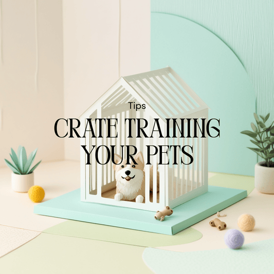 Crate Training 101: A Beginner’s Guide - Petopia Company