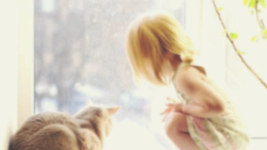 Introducing A New Pet: Tips For A Smooth Transition Home - Petopia Company
