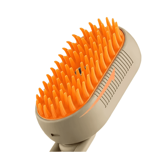 Grooming Tips at Home: Keep Your Pet Looking Fresh