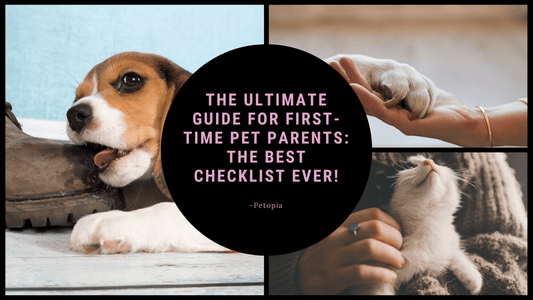 The Ultimate Guide for First-Time Pet Parents: The Best Checklist Ever! - Petopia Company