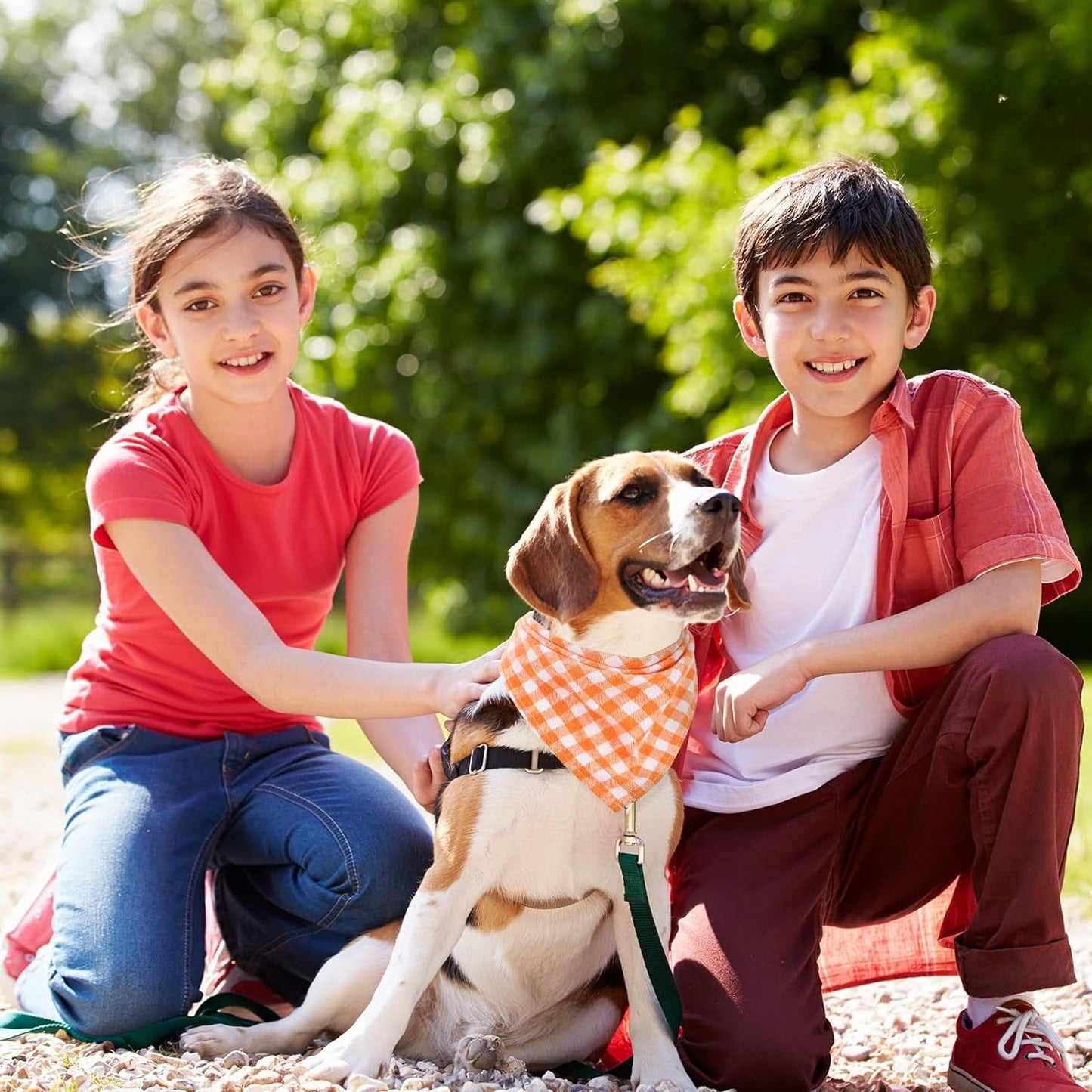 12 Pack Plaid Dog Scarf for Small & Medium Dogs, Soft Christmas Bandanas in Festive Designs - Petopia