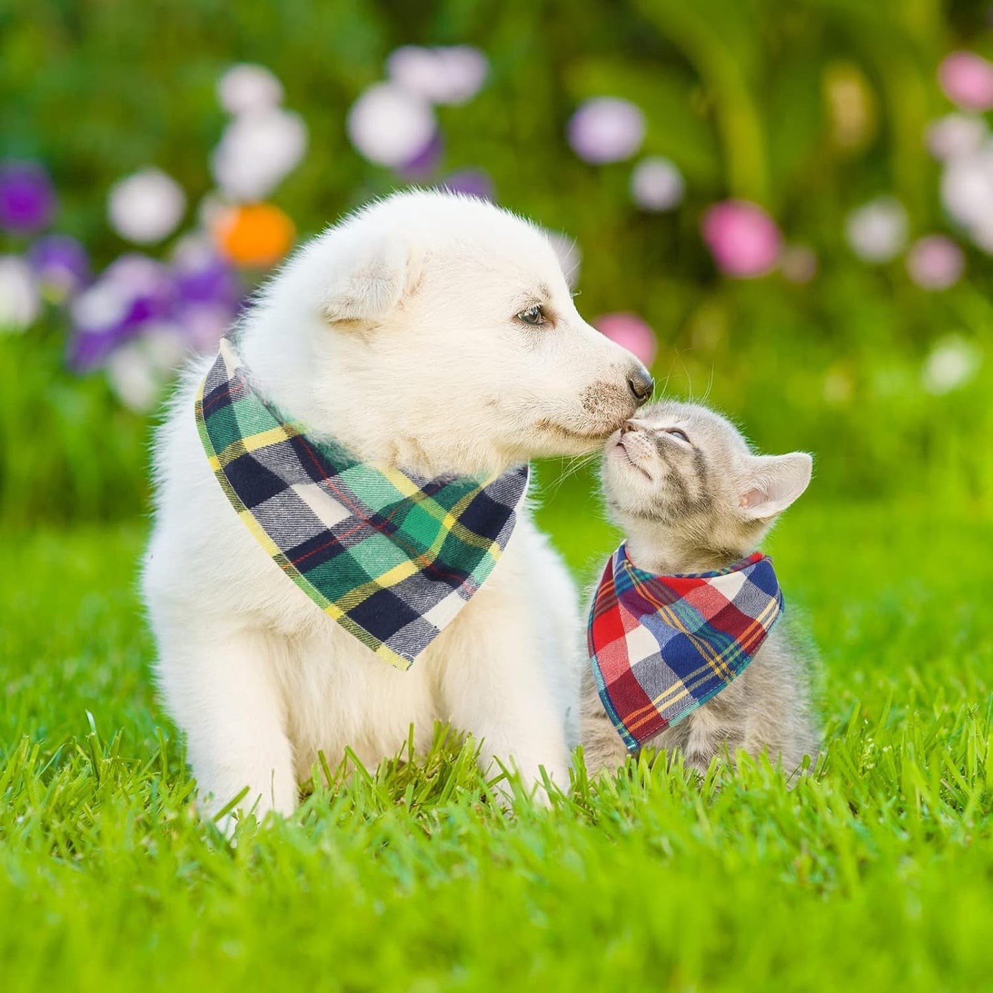 12 Pack Plaid Dog Scarf for Small & Medium Dogs, Soft Christmas Bandanas in Festive Designs - Petopia