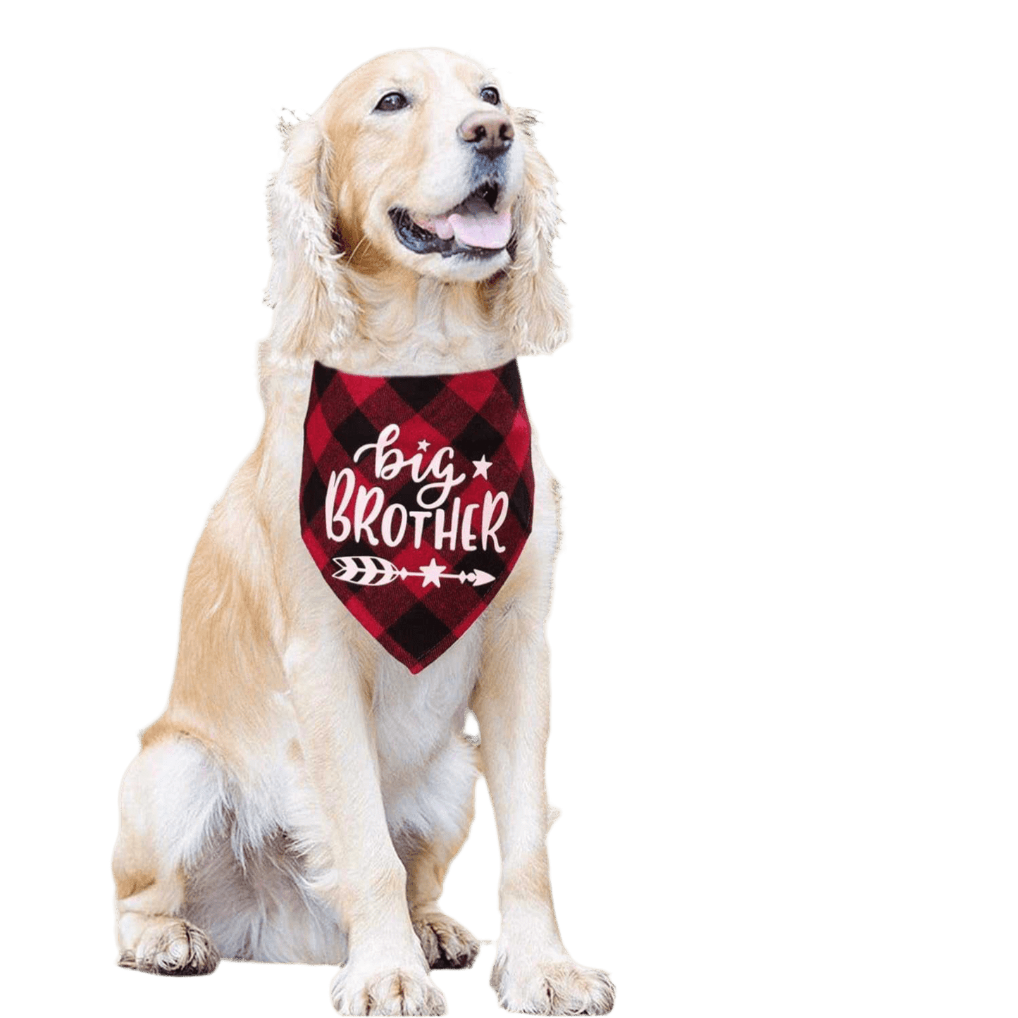 2 - Pack Plaid Dog Bandanas - Big Brother Blue & Red for Gender Reveal & Pregnancy Announcements - Petopia