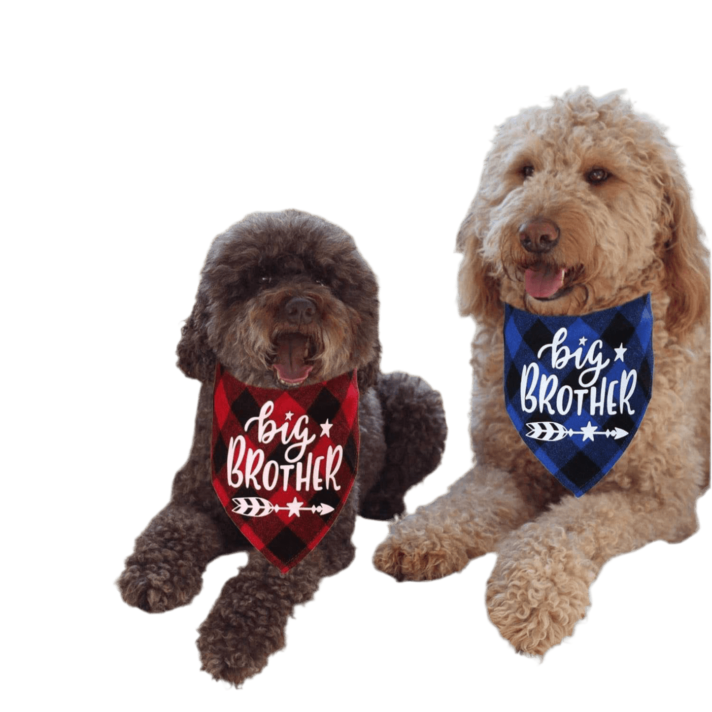 2 - Pack Plaid Dog Bandanas - Big Brother Blue & Red for Gender Reveal & Pregnancy Announcements - Petopia