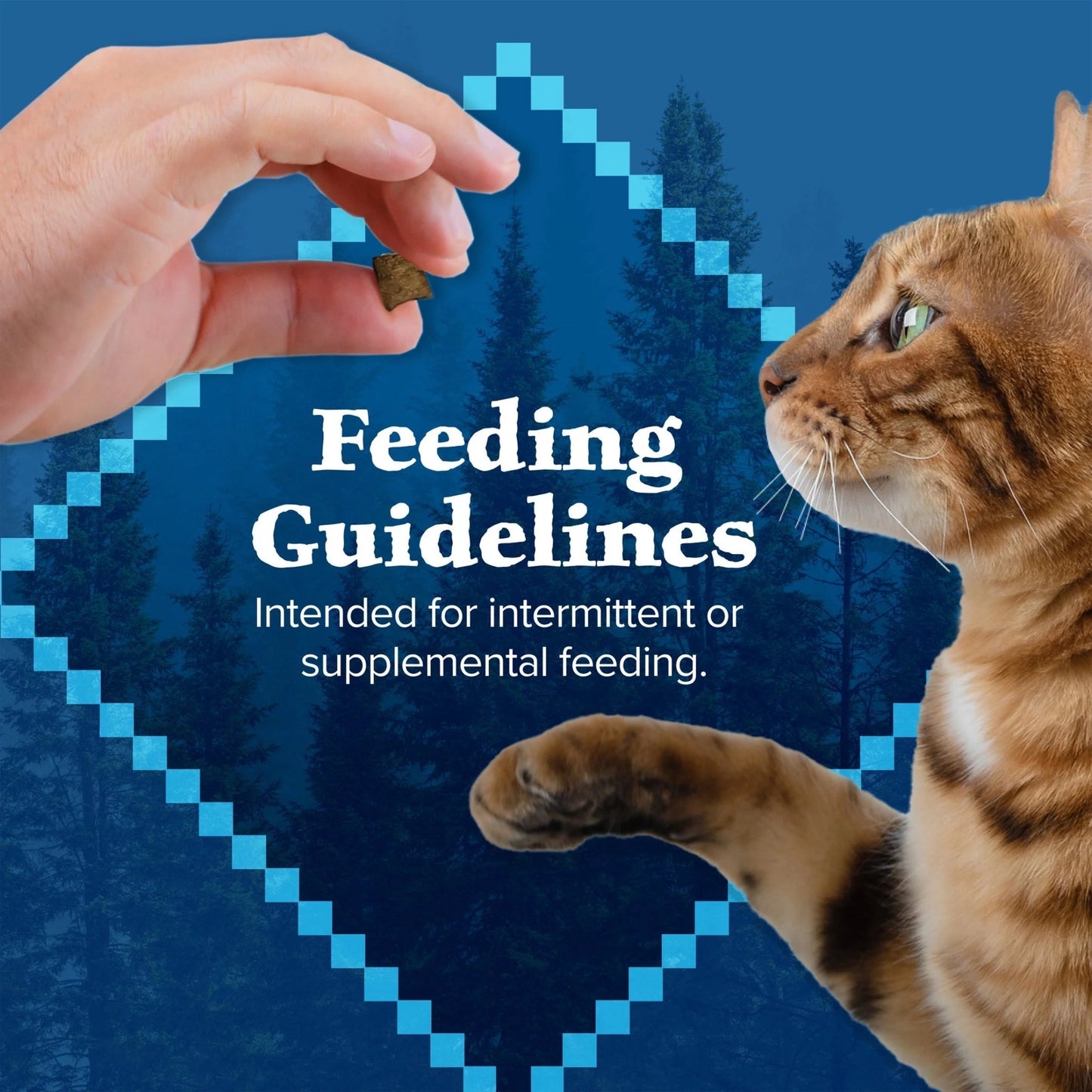 BLUE Wilderness Salmon Cat Treats, Grain - Free Crunchy Snacks, 12 - Oz. Tub for Cats - Petopia