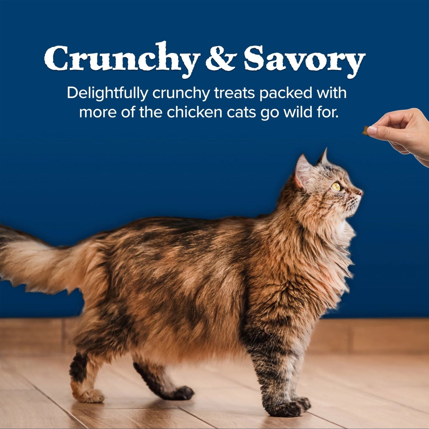 BLUE Wilderness Salmon Cat Treats, Grain - Free Crunchy Snacks, 12 - Oz. Tub for Cats - Petopia