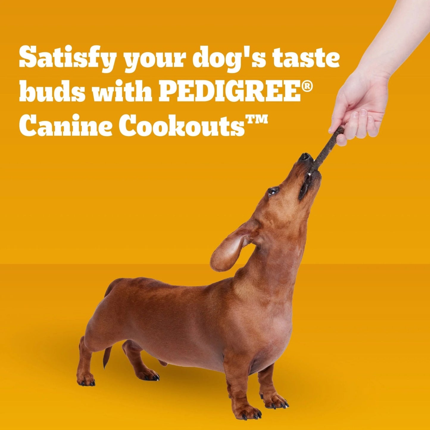 Canine Cookout Soft Dog Treats, Beef Flavored Meaty Sticks, 5.36 Oz Bag - Petopia Company