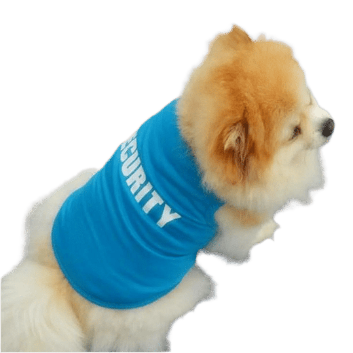 Dog Printed Pullover Small Dogs Shirt Tops Cat Dog Sweater Cute Pet Dress Winter Warm Vest Pet Dog Jacket Blue Small - Petopia