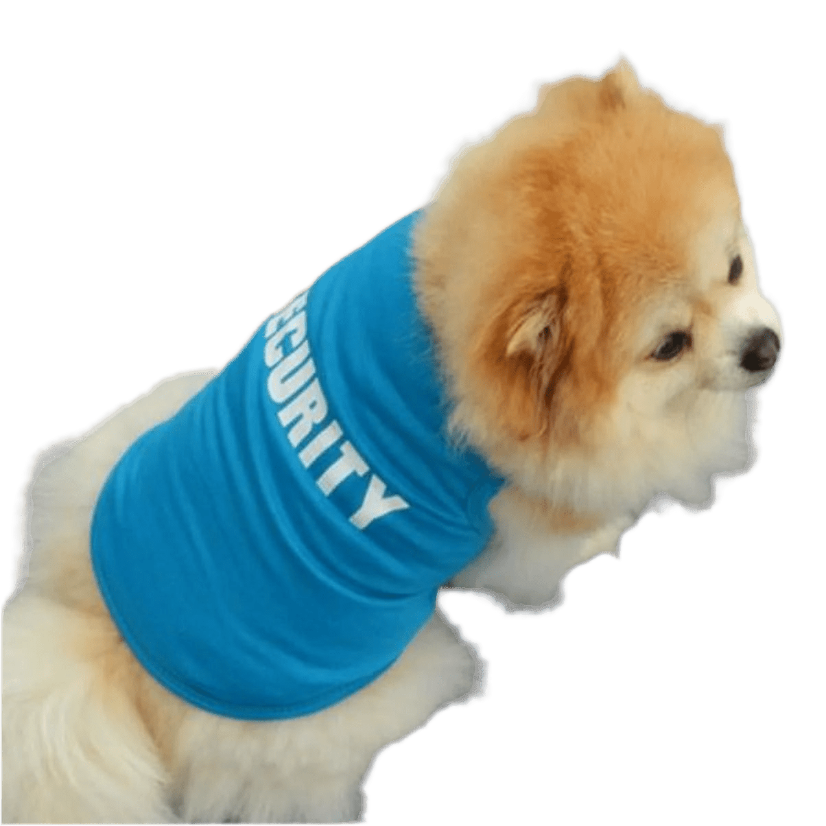 Dog Printed Pullover Small Dogs Shirt Tops Cat Dog Sweater Cute Pet Dress Winter Warm Vest Pet Dog Jacket Blue Small - Petopia