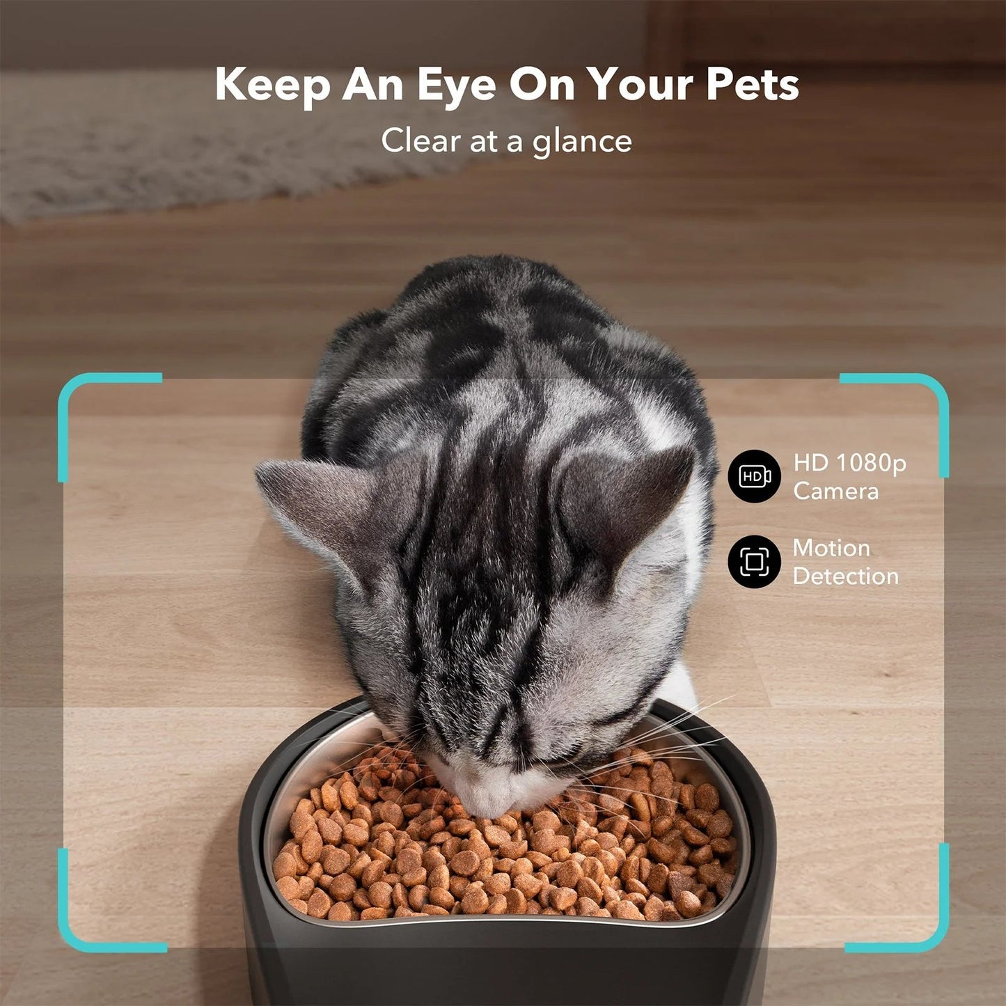 Granary Smart Camera Feeder - Petopia Company