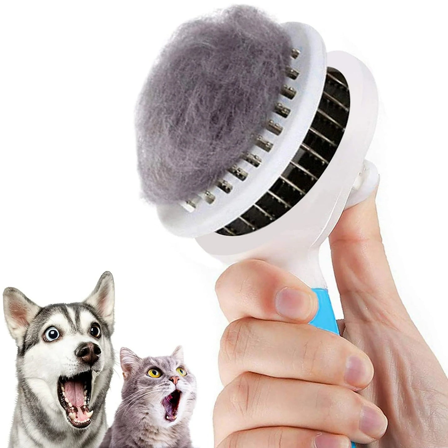 Grooming & Wellness Bundle - Petopia