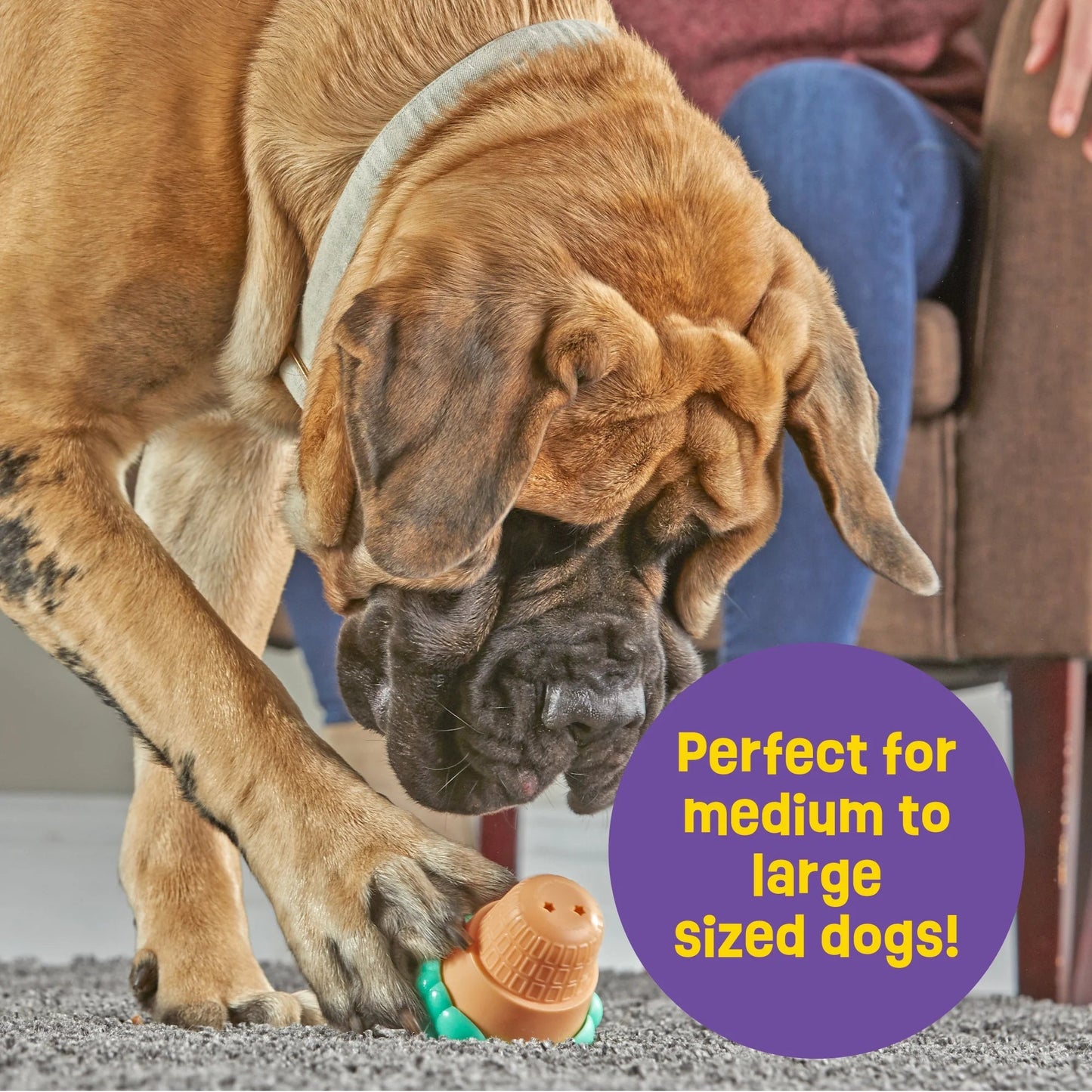 Ice Cream Dog Toy Treat Dispenser, Playful Food Puzzle for Interactive Puppy Training & Birthdays - Petopia