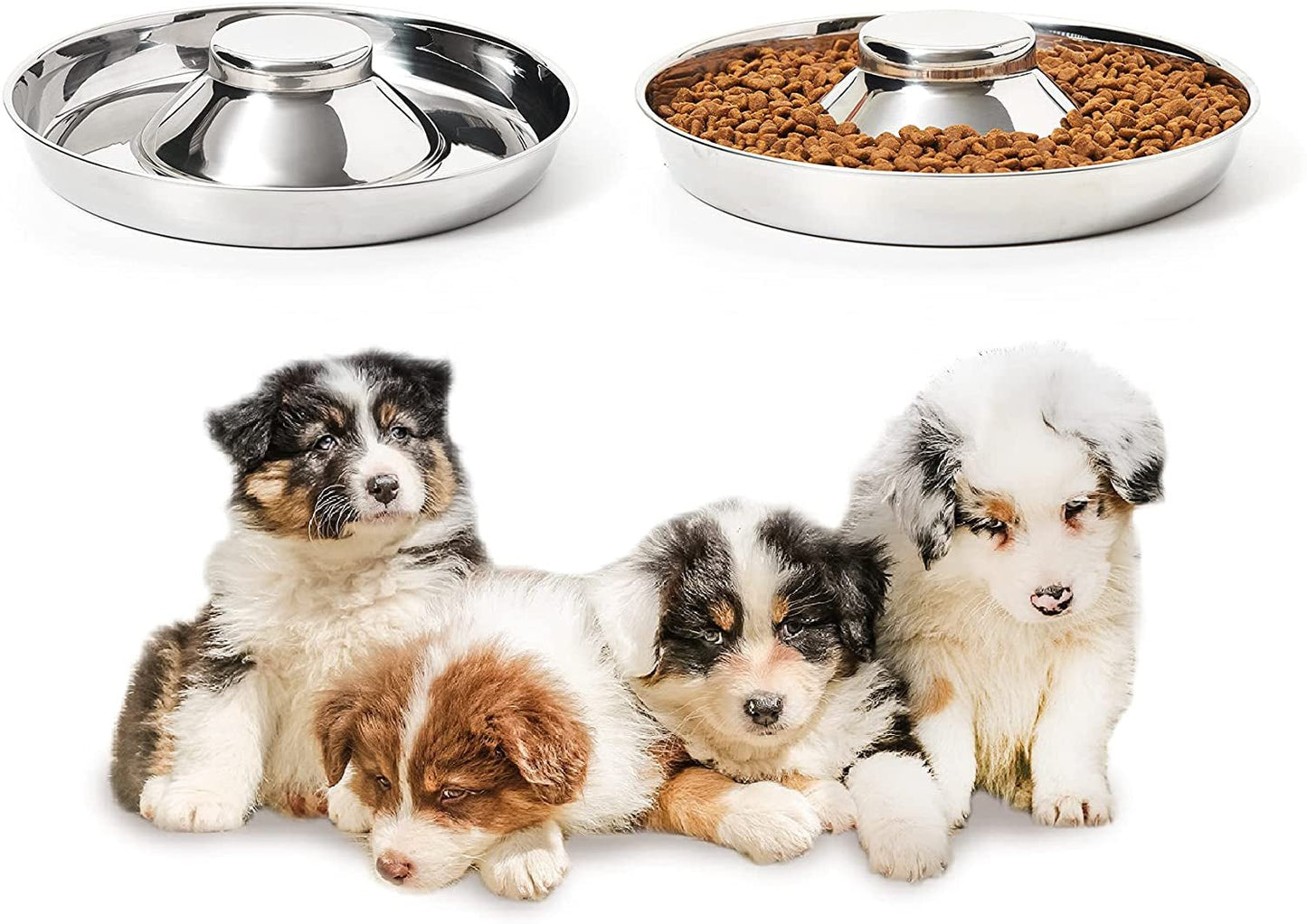 Pawsitive Dining Duo - Petopia