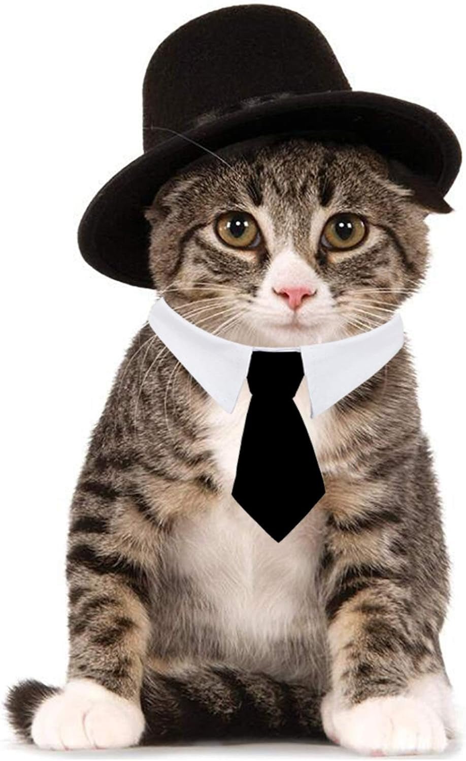 Pet Bow Tie & Top Hat Set – Adjustable Formal Collar Neck Tie and Costume Accessory for Dogs, Cats, Puppies, and Pets (2 Pieces) - Petopia