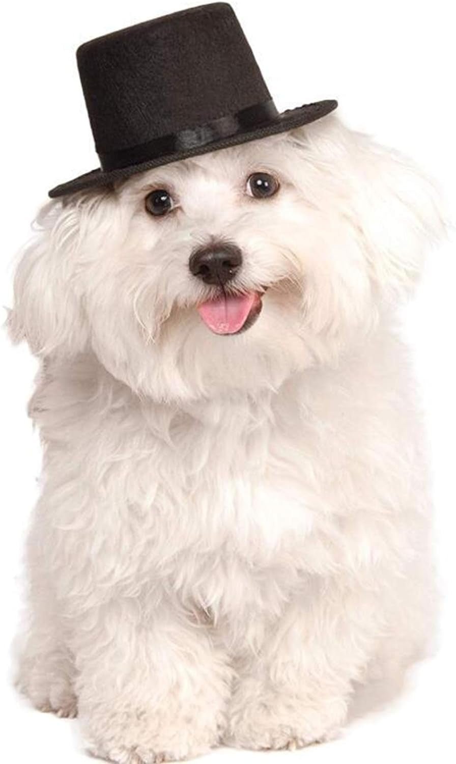 Pet Bow Tie & Top Hat Set – Adjustable Formal Collar Neck Tie and Costume Accessory for Dogs, Cats, Puppies, and Pets (2 Pieces) - Petopia