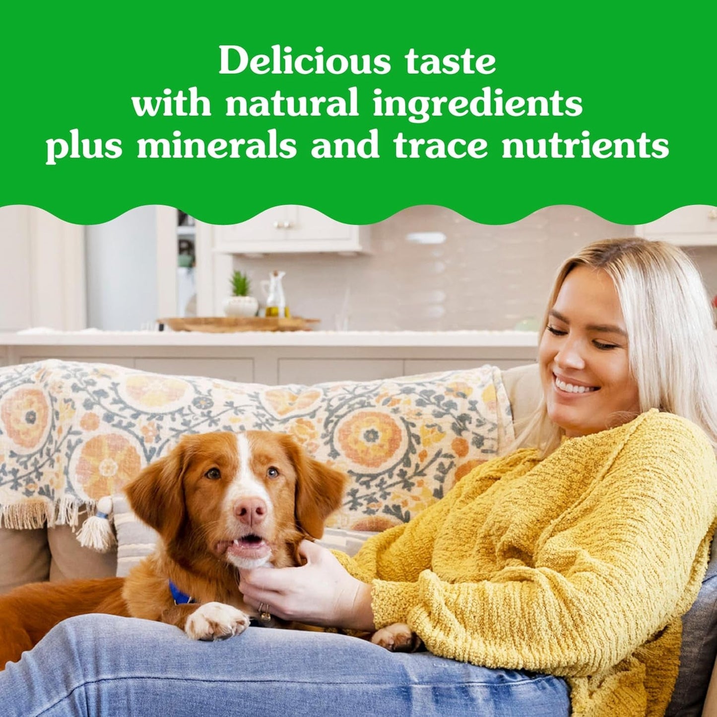 Pill Pockets Large Size Soft Dog Treats for Capsules, with Real Peanut Butter, Made with Natural Ingredients plus Minerals & Trace Nutrients, 15.8 Oz. (60 Count, Pack of 1) - Petopia Company