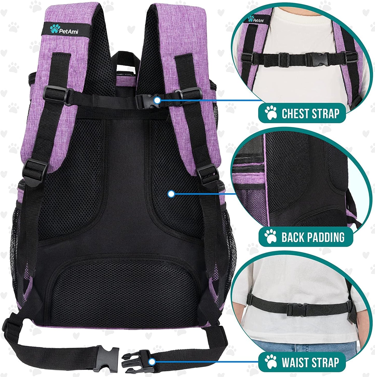 Purrfect Voyager Backpack - Petopia