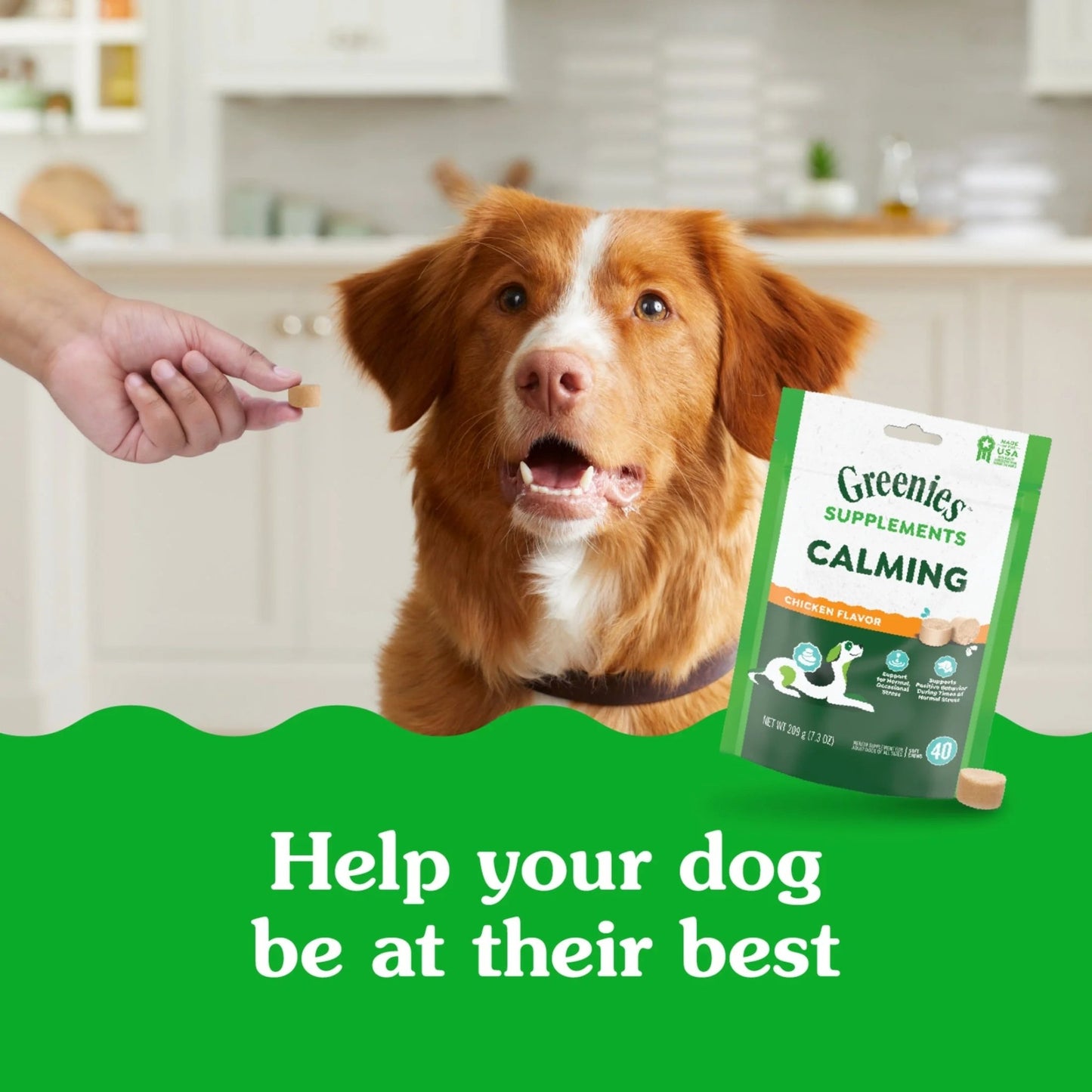 Supplements Calming Chews for Dogs Chicken Flavor, 7.3 Oz Container of 40 Ct. Soft Chews - Petopia Company