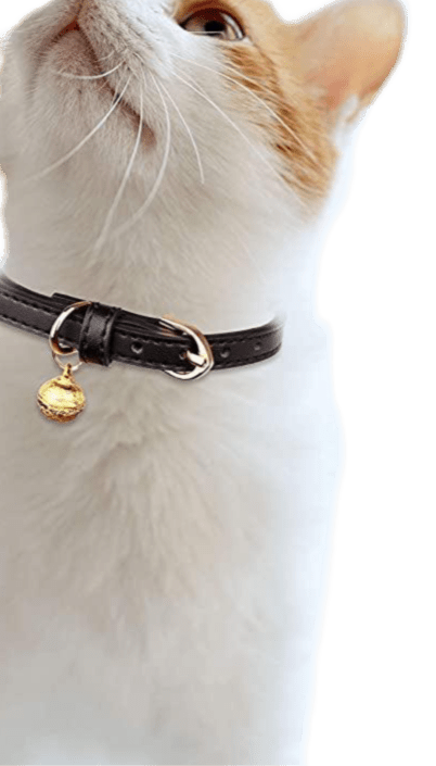 Whisker Wear – Adjustable Comfortable Cat Collar | Breakaway Safety Collar for Cats & Kittens - Petopia