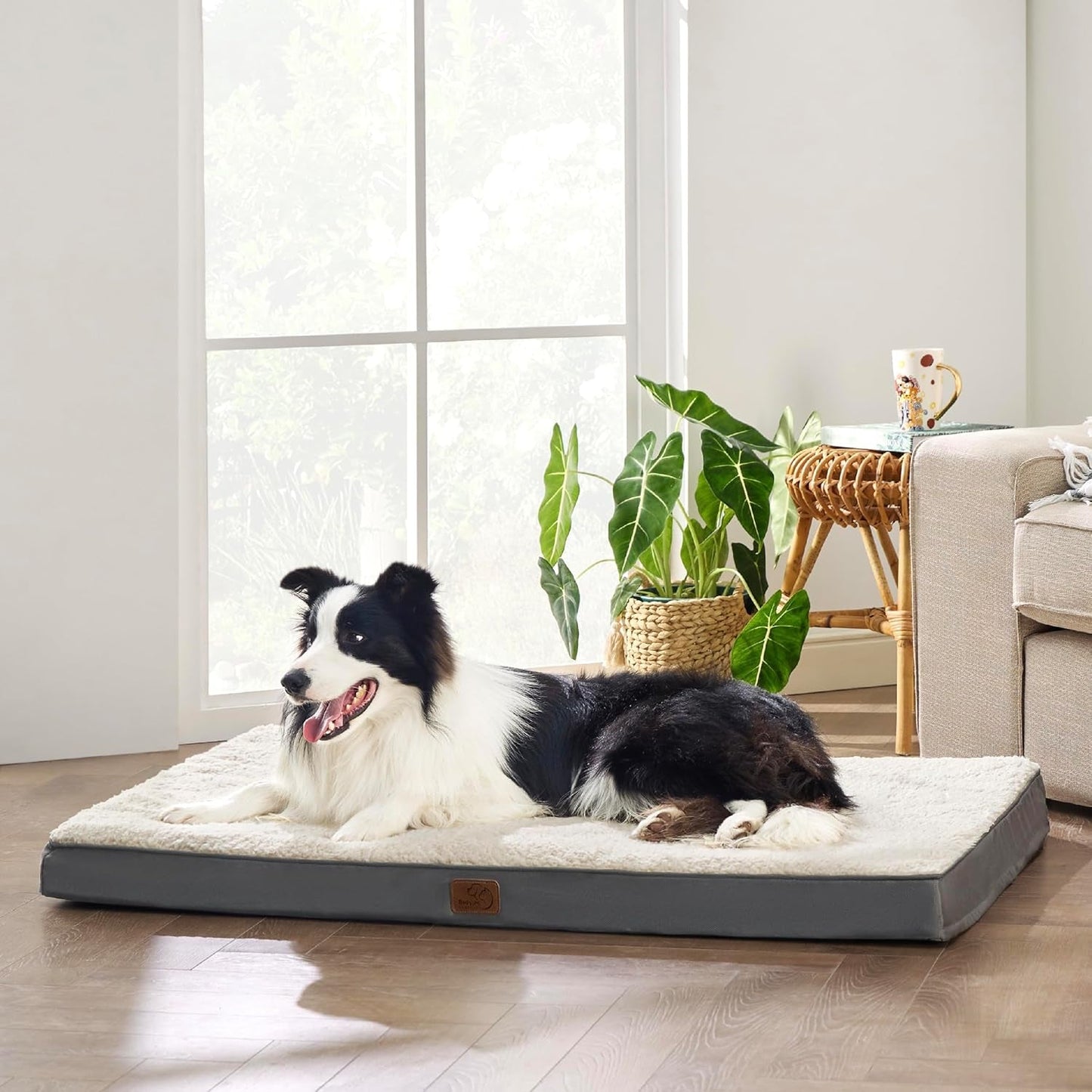 XL Dog Bed Large Sized Dog - Orthopedic Waterproof Extra Large Pet Beds with Removable Washable Cover, Egg Crate Foam Mat, Suitable for Pet up to 100 Lbs - Petopia Company