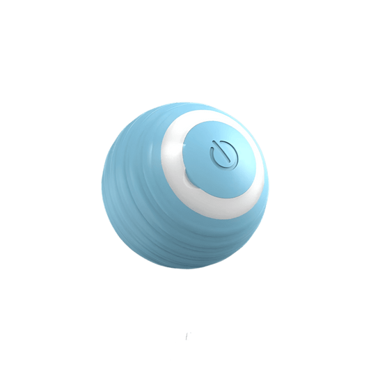 Cat Interactive Ball – Smart Electric Rolling Toy for Active Play - Petopia