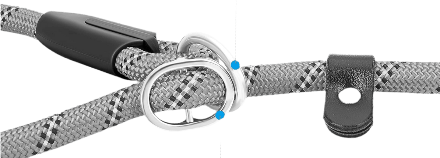 No - Pull Pro Leash - Petopia