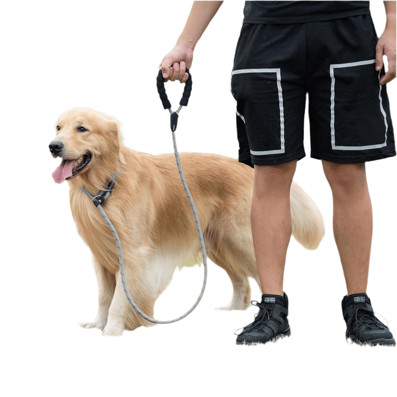 No - Pull Pro Leash - Petopia