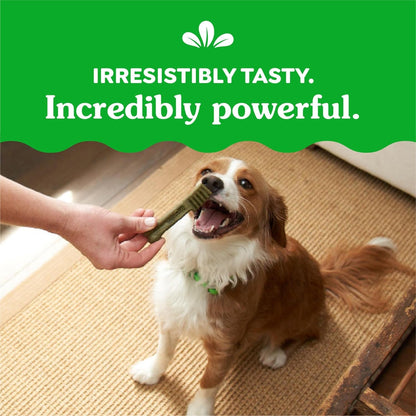 Original Petite Natural Dental Care Dog Treats, 36 Oz. Pack (60 Treats) - Petopia Company
