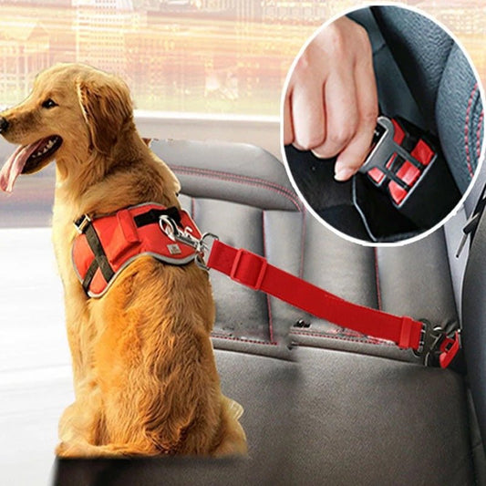 Pawsafe - Petopia