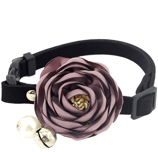 Peony Paws Elegance Collar - Petopia