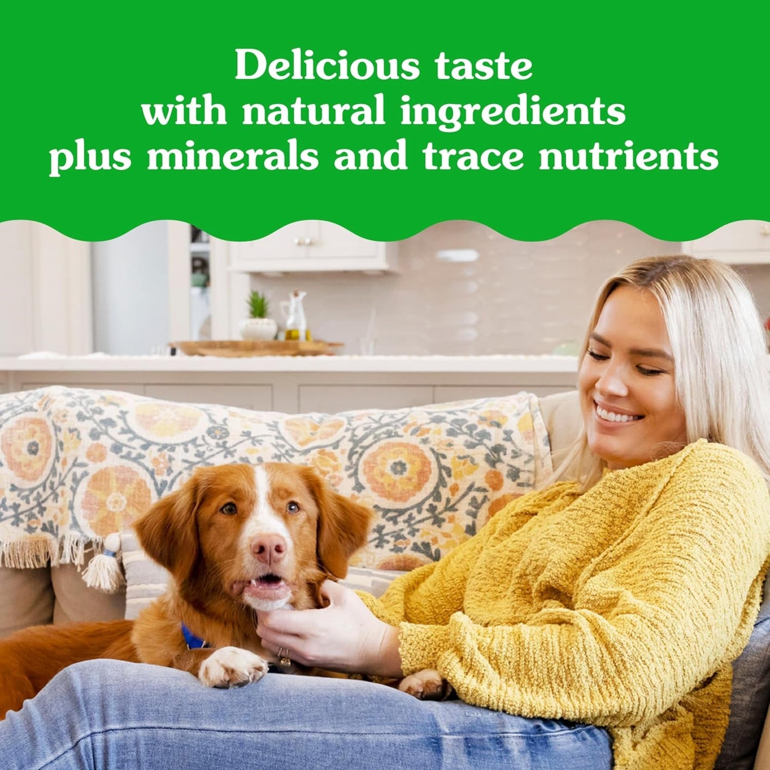 Pill Pockets Large Size Soft Dog Treats for Capsules, with Real Peanut Butter, Made with Natural Ingredients plus Minerals & Trace Nutrients, 15.8 Oz. (60 Count, Pack of 1) - Petopia Company