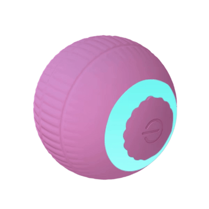 Purrfect Motion Ball - Petopia