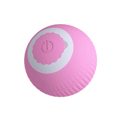 Purrfect Motion Ball - Petopia