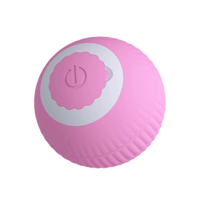 Purrfect Motion Ball - Petopia