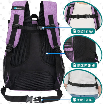 Purrfect Voyager Backpack - Petopia