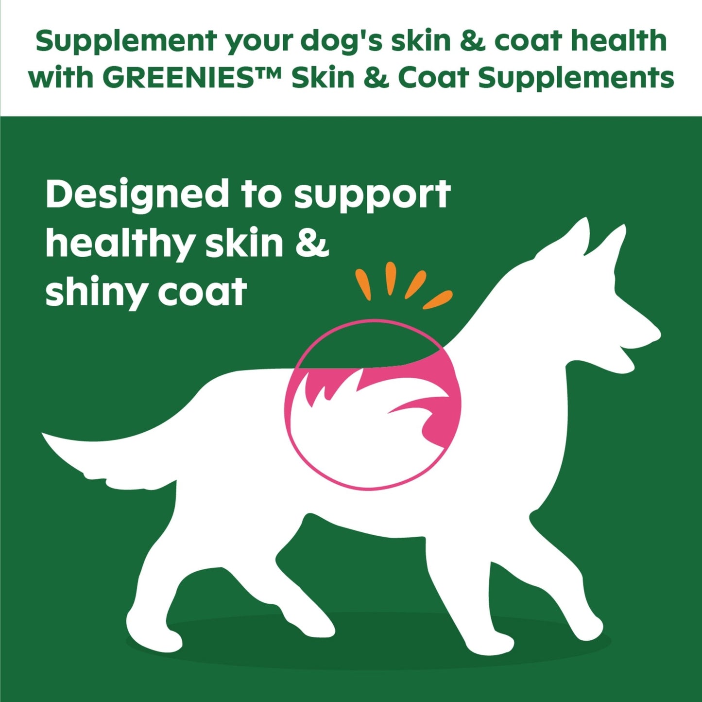 Skin & Coat Supplement Soft Chew for Dogs, Chicken Flavor, 40 Count - Petopia Company