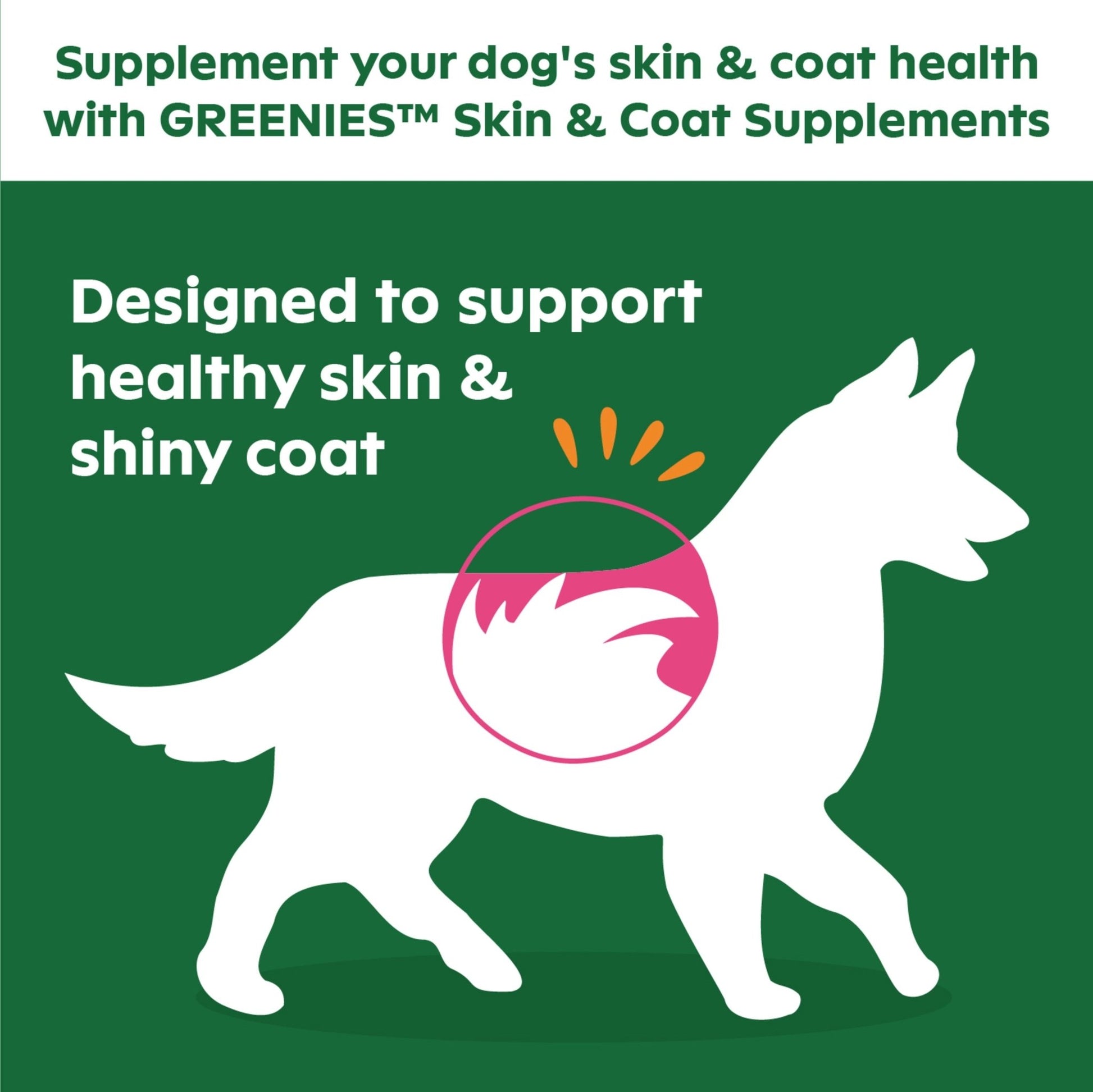 Skin & Coat Supplement Soft Chew for Dogs, Chicken Flavor, 40 Count - Petopia Company