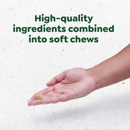 Supplements Calming Chews for Dogs Chicken Flavor, 7.3 Oz Container of 40 Ct. Soft Chews - Petopia Company