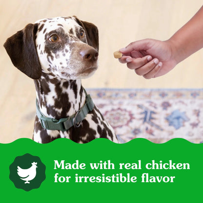 Supplements Calming Chews for Dogs Chicken Flavor, 7.3 Oz Container of 40 Ct. Soft Chews - Petopia Company